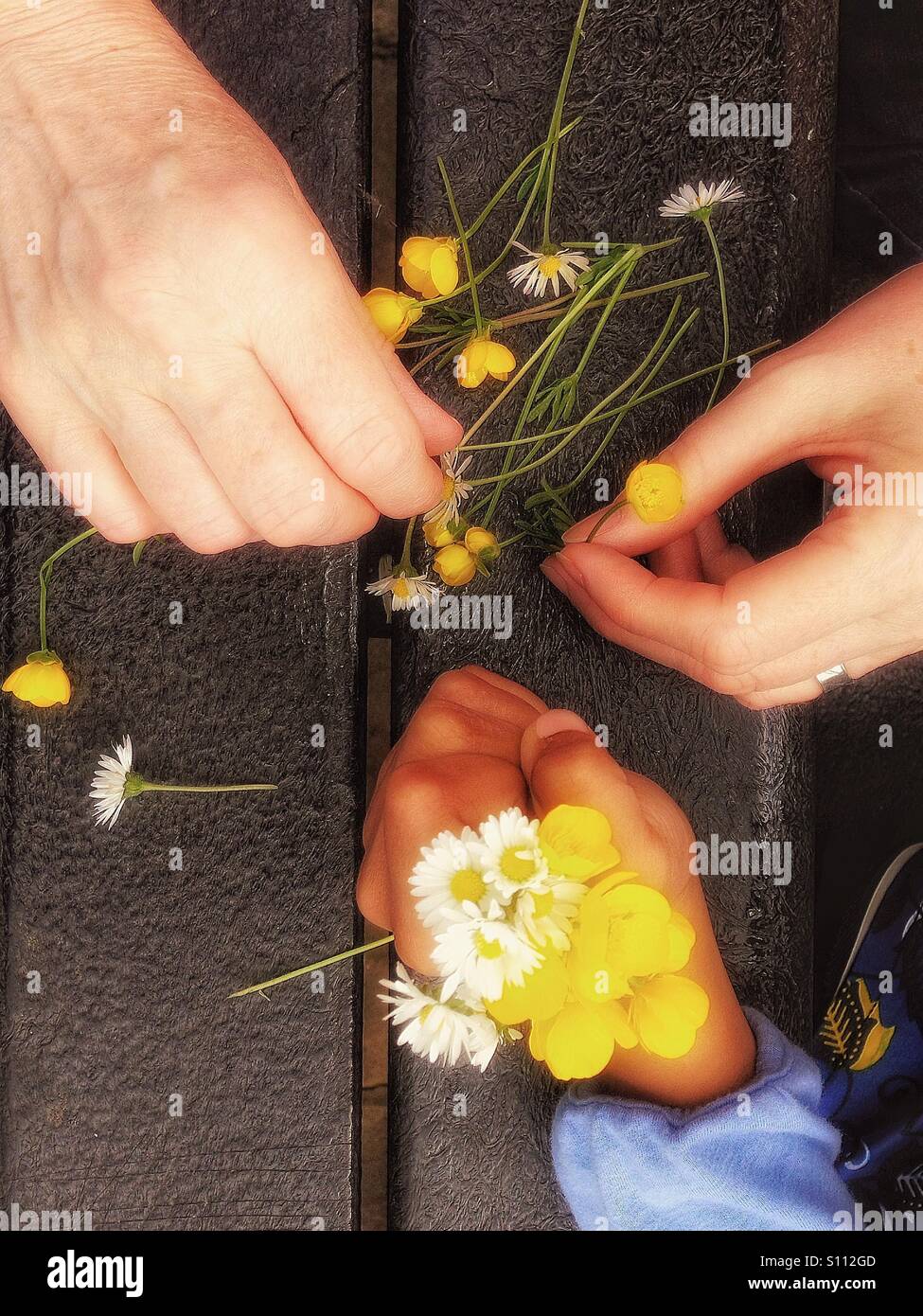 Hands and flowers Stock Photo Alamy