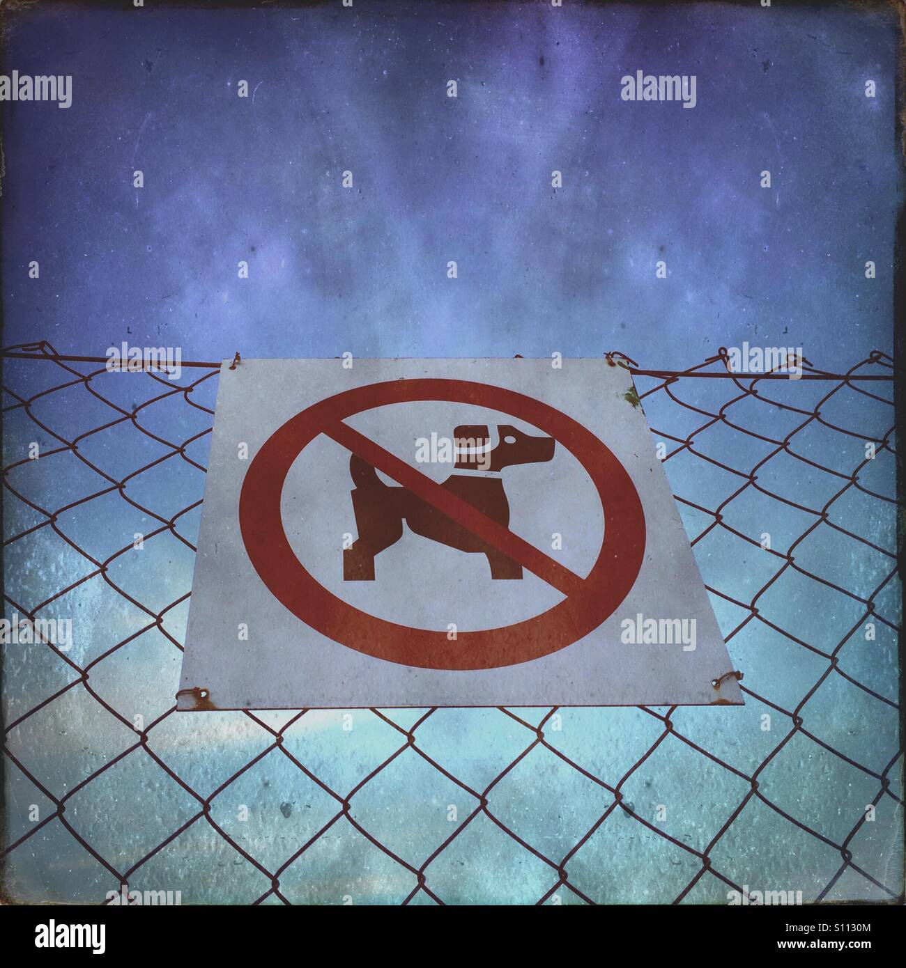 No dog sign on wire fence - Smartphone Captured Stock Image