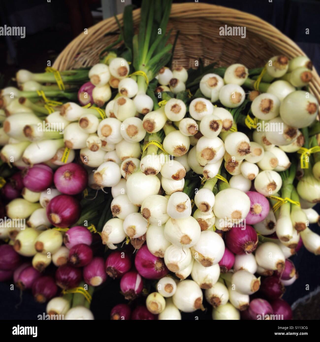 Display of onions in a basket hi-res stock photography and images - Alamy