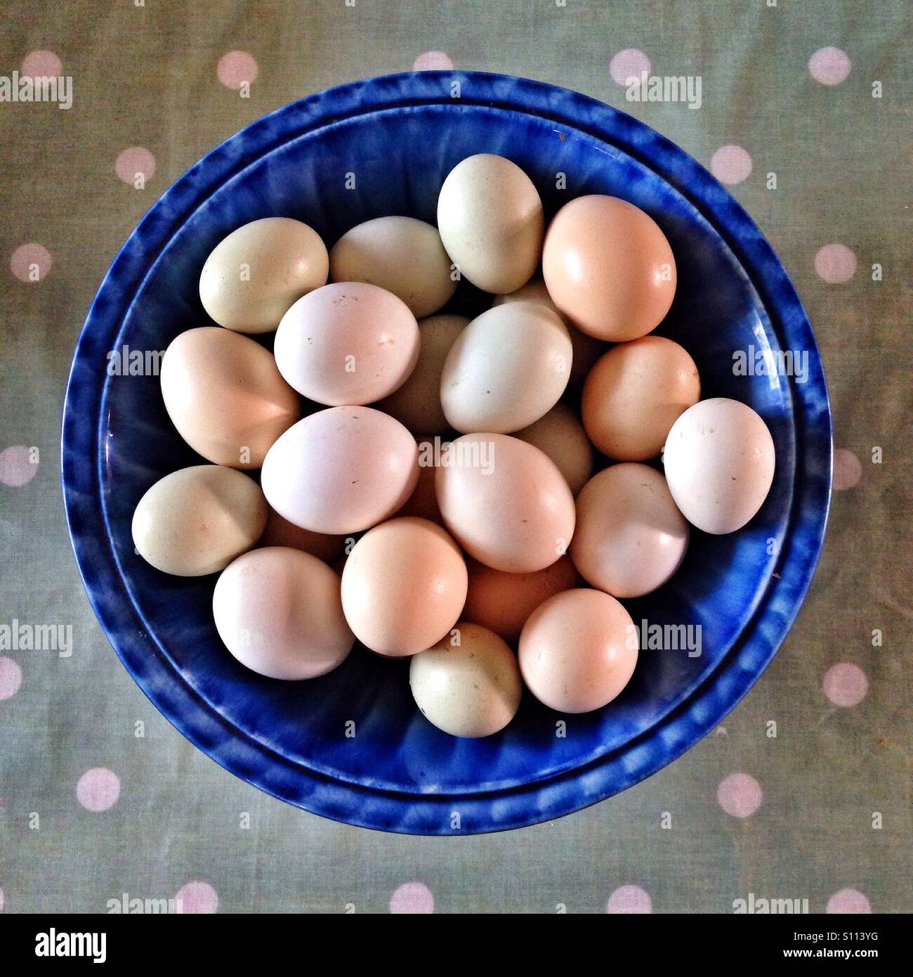 Large bowl of free range eggs Stock Photo