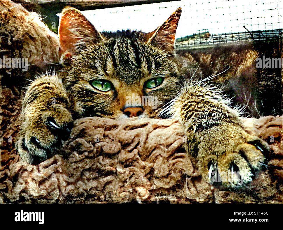 ..only I and no one else...!! - Smartphone Captured Stock Image