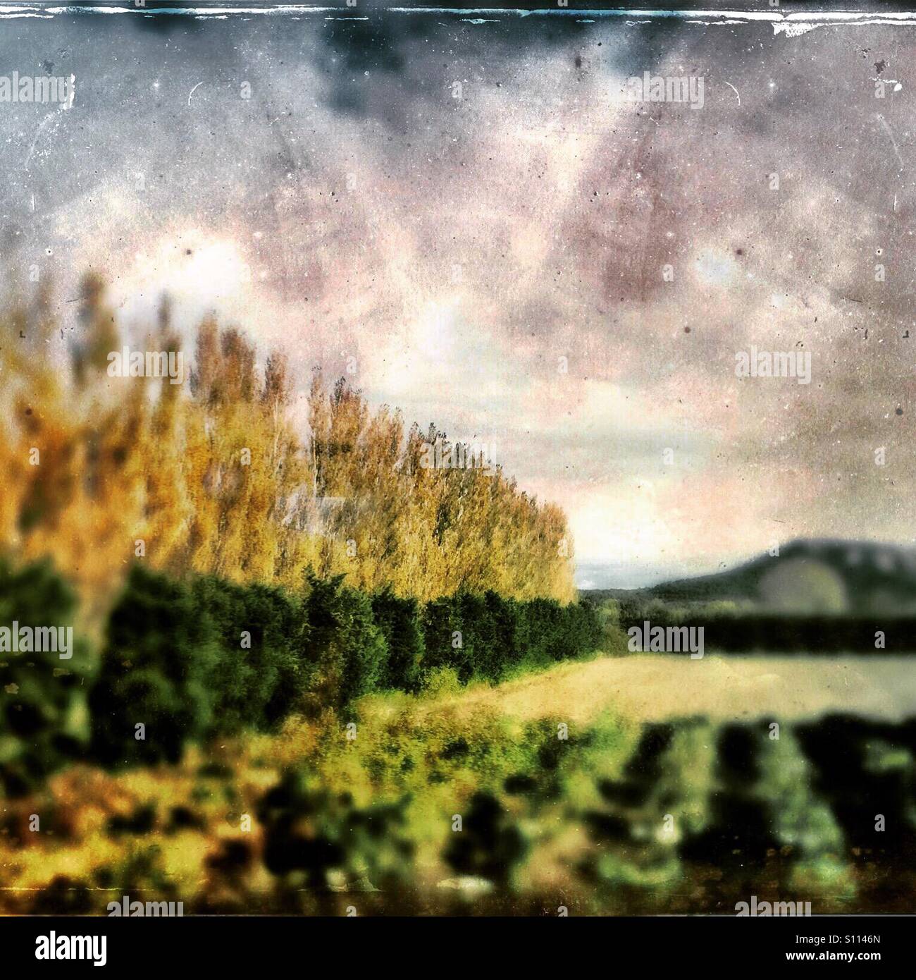 Pastoral and painterly scene of rural Provence, France - Smartphone Captured Stock Image