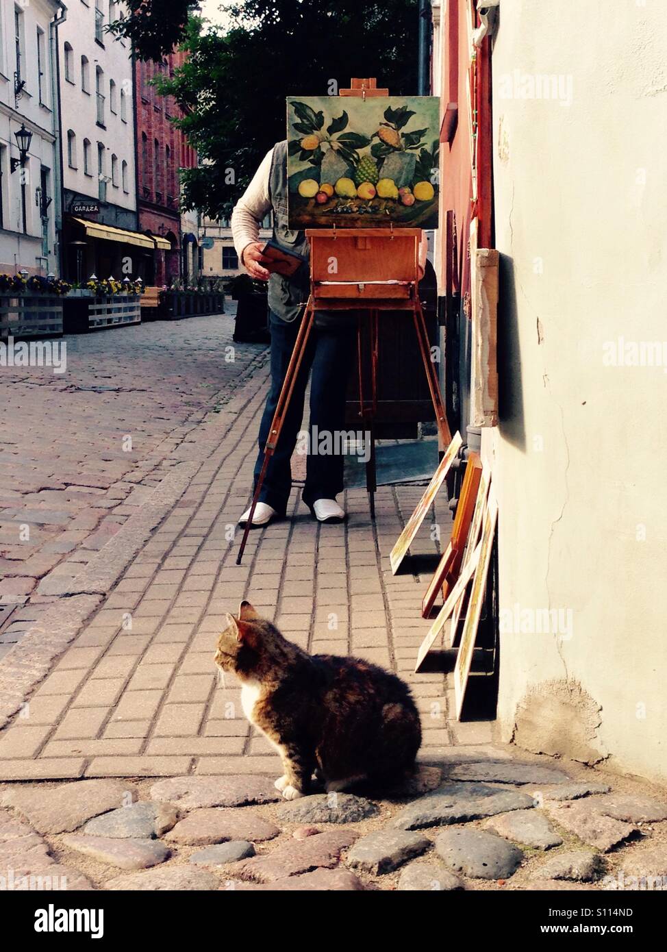Artist and his cat - Smartphone Captured Stock Image