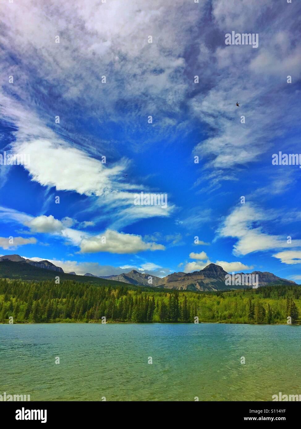 Canadian Rocky Mountains, Bow River - Smartphone Captured Stock Image