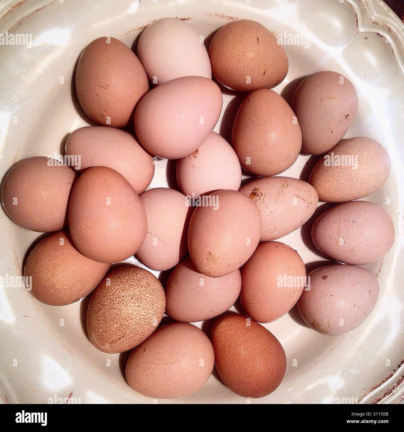 Organic eggs from free-range Guinea fowls in a kitchen in Prado del Rey, Sierra de Cadiz, Andalusia, Spain - Smartphone Captured Stock Image