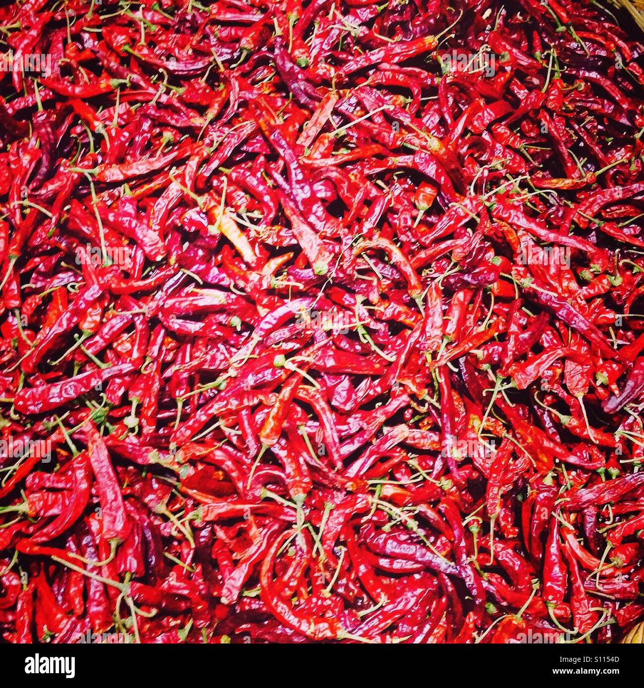 Red chilly pepper - Smartphone Captured Stock Image