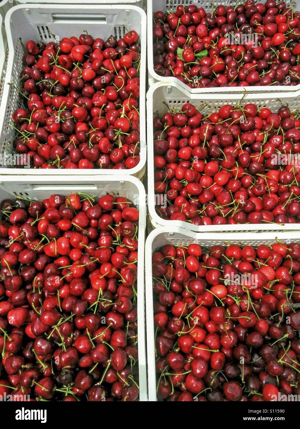Cherries for sale Stock Photo Alamy