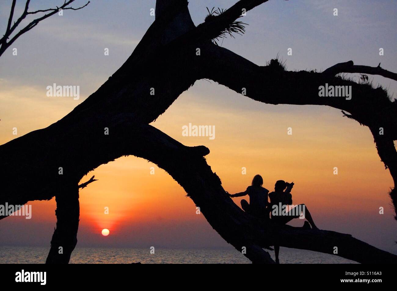 Couple sitting on the tree during sunset - Smartphone Captured Stock Image