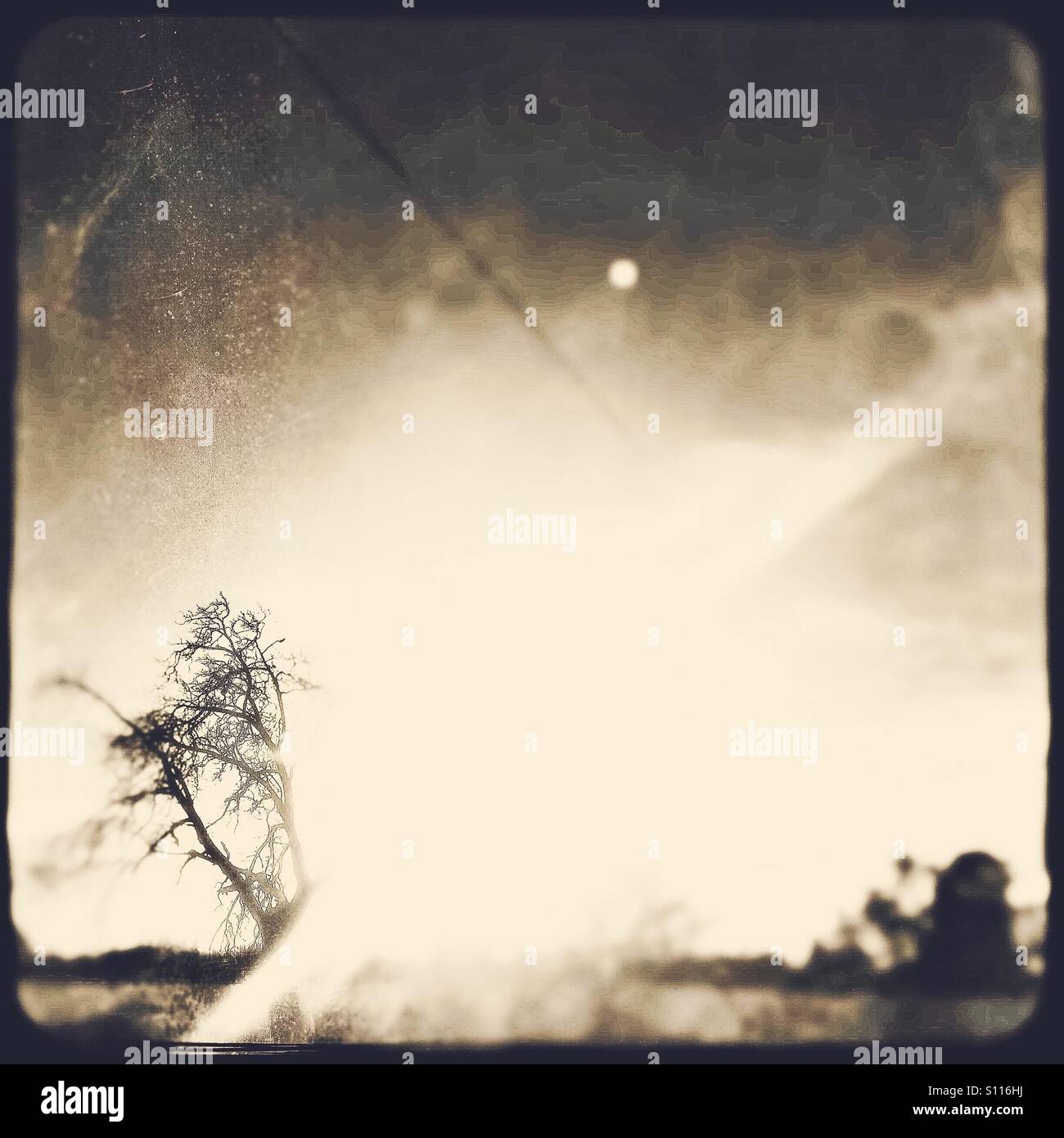 Sun setting and full moon in the country. - Smartphone Captured Stock Image