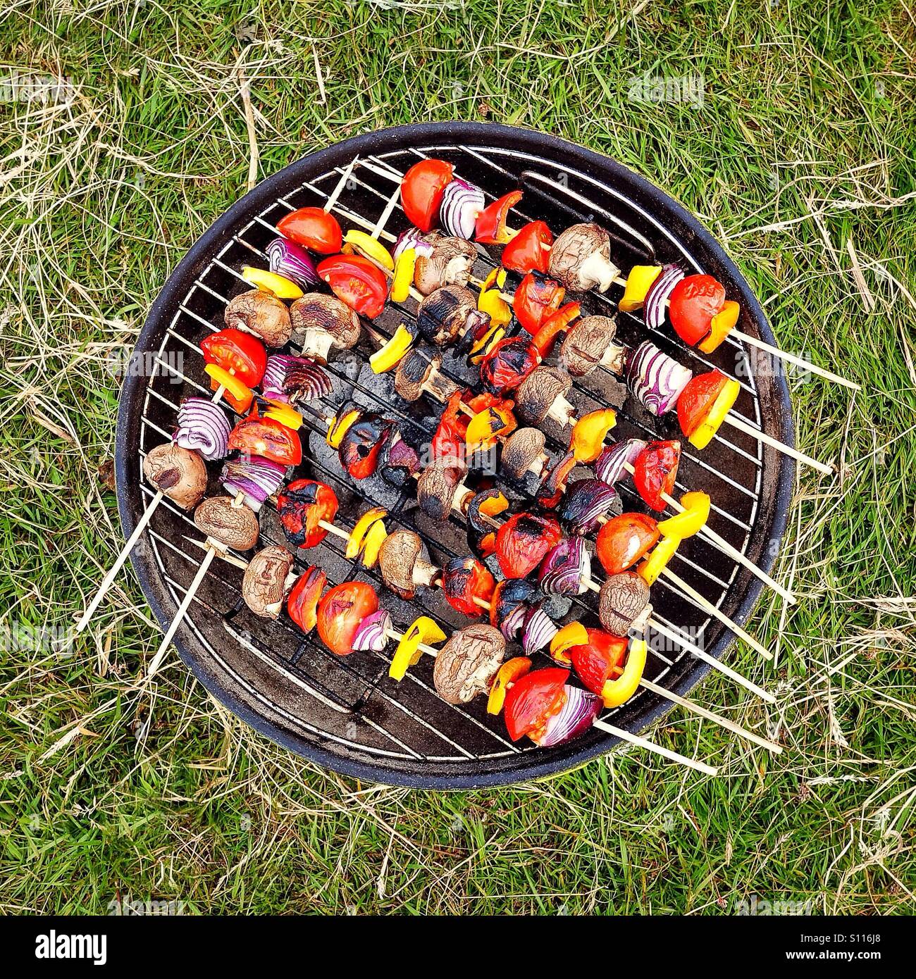 Vegetable kebabs on camping grill Stock Photo Alamy