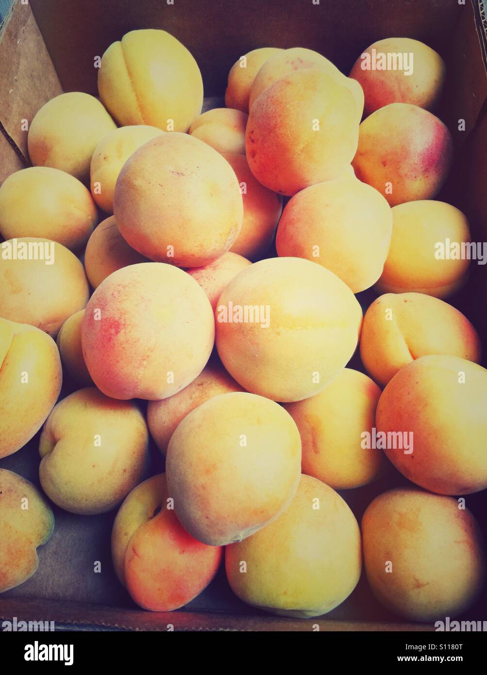 Box of apricots - Smartphone Captured Stock Image