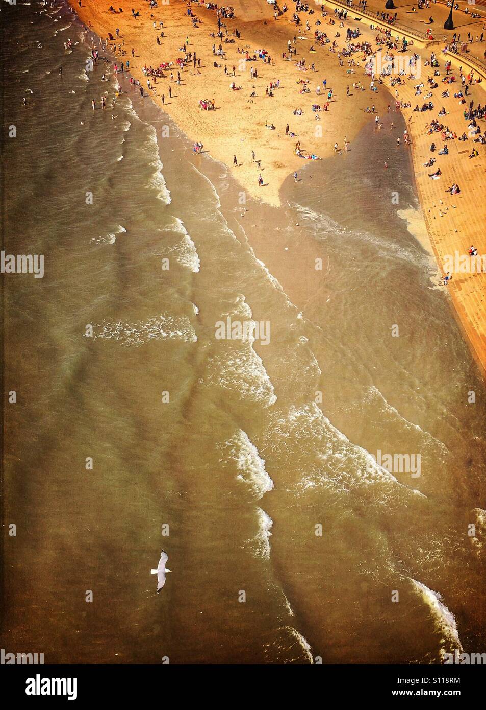 Seagull flying over sea as tide comes in with people crowded on the beach at Blackpool - Smartphone Captured Stock Image