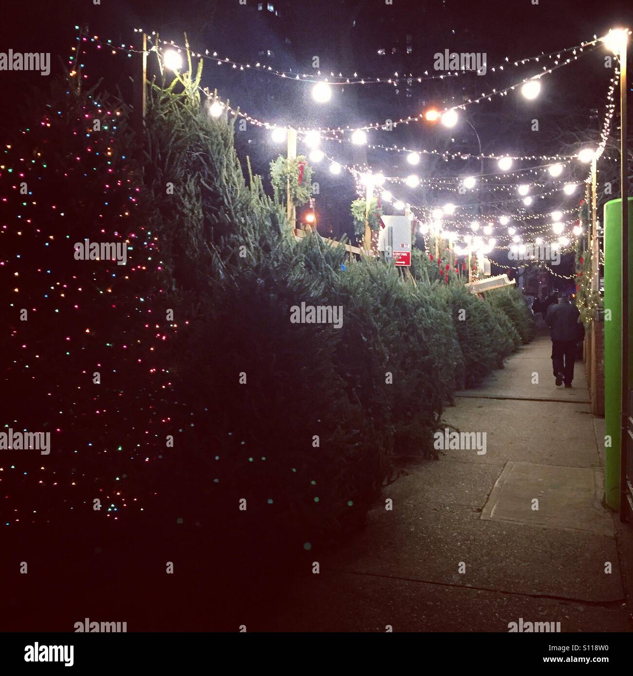 Christmas trees for sale on NYC sidewalk Stock Photo Alamy