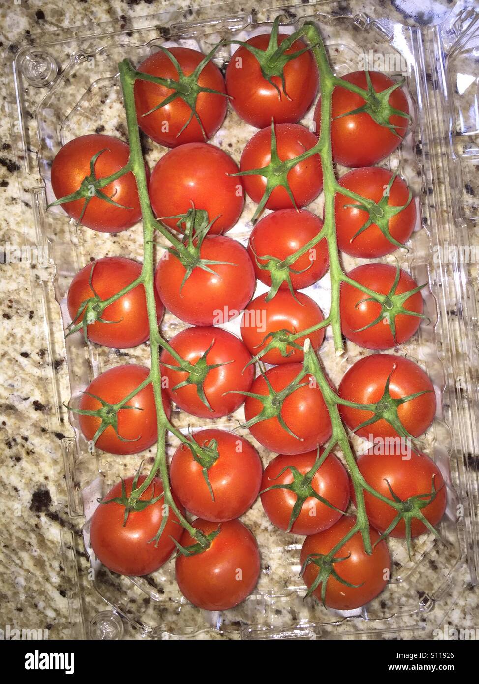 Red tomatoes on a vine - Smartphone Captured Stock Image