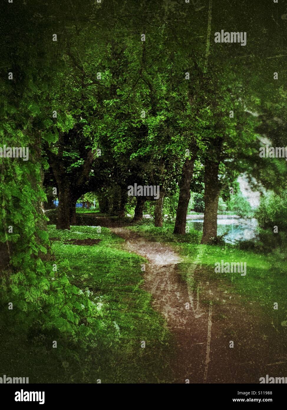 Footpath through line of trees England UK United Kingdom GB Great Britain - Smartphone Captured Stock Image