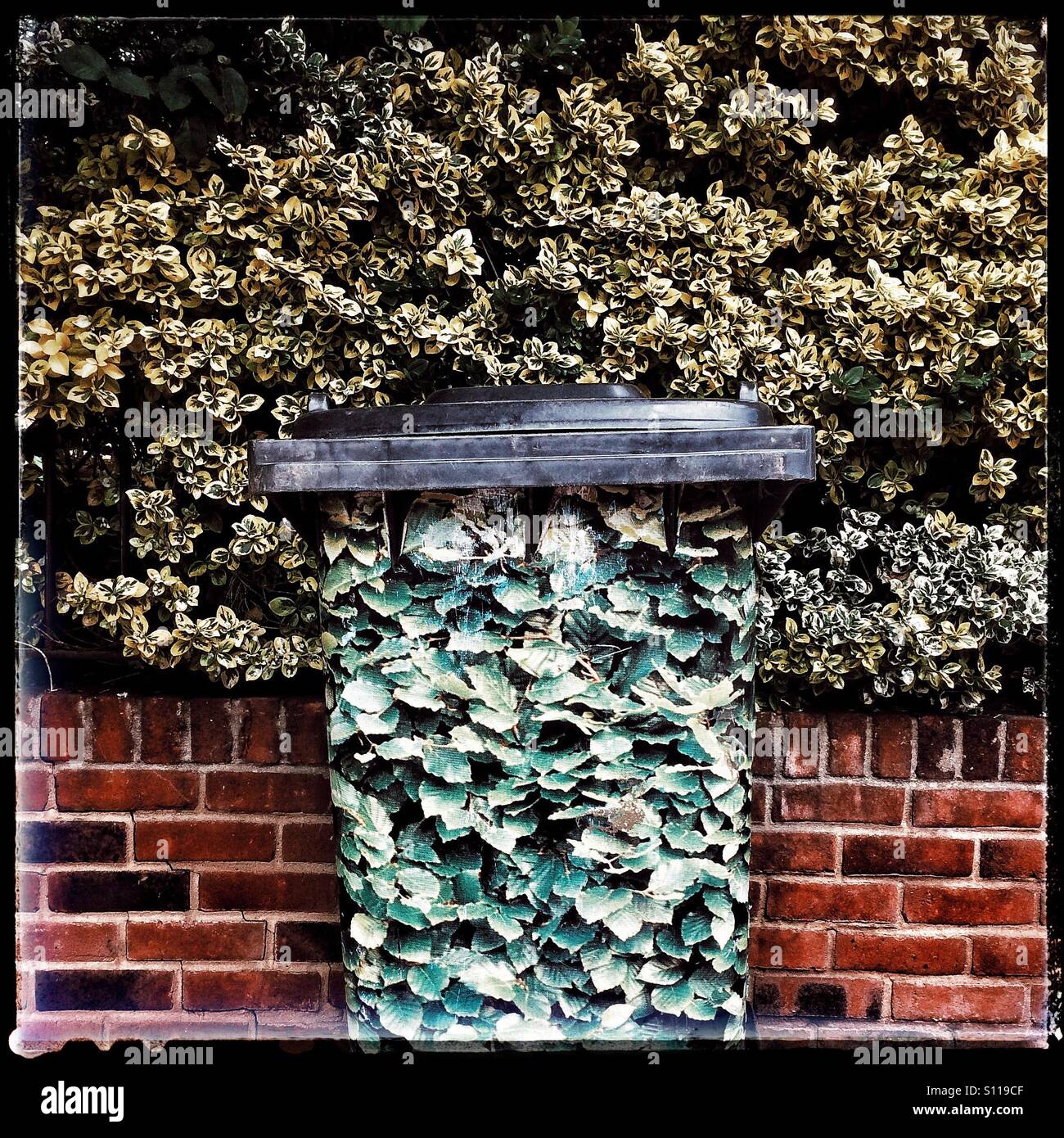 Wheelie bin in urban camouflage - Smartphone Captured Stock Image