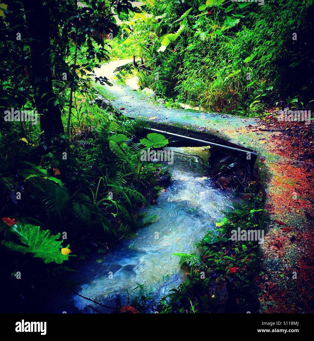 River & bridge - Smartphone Captured Stock Image