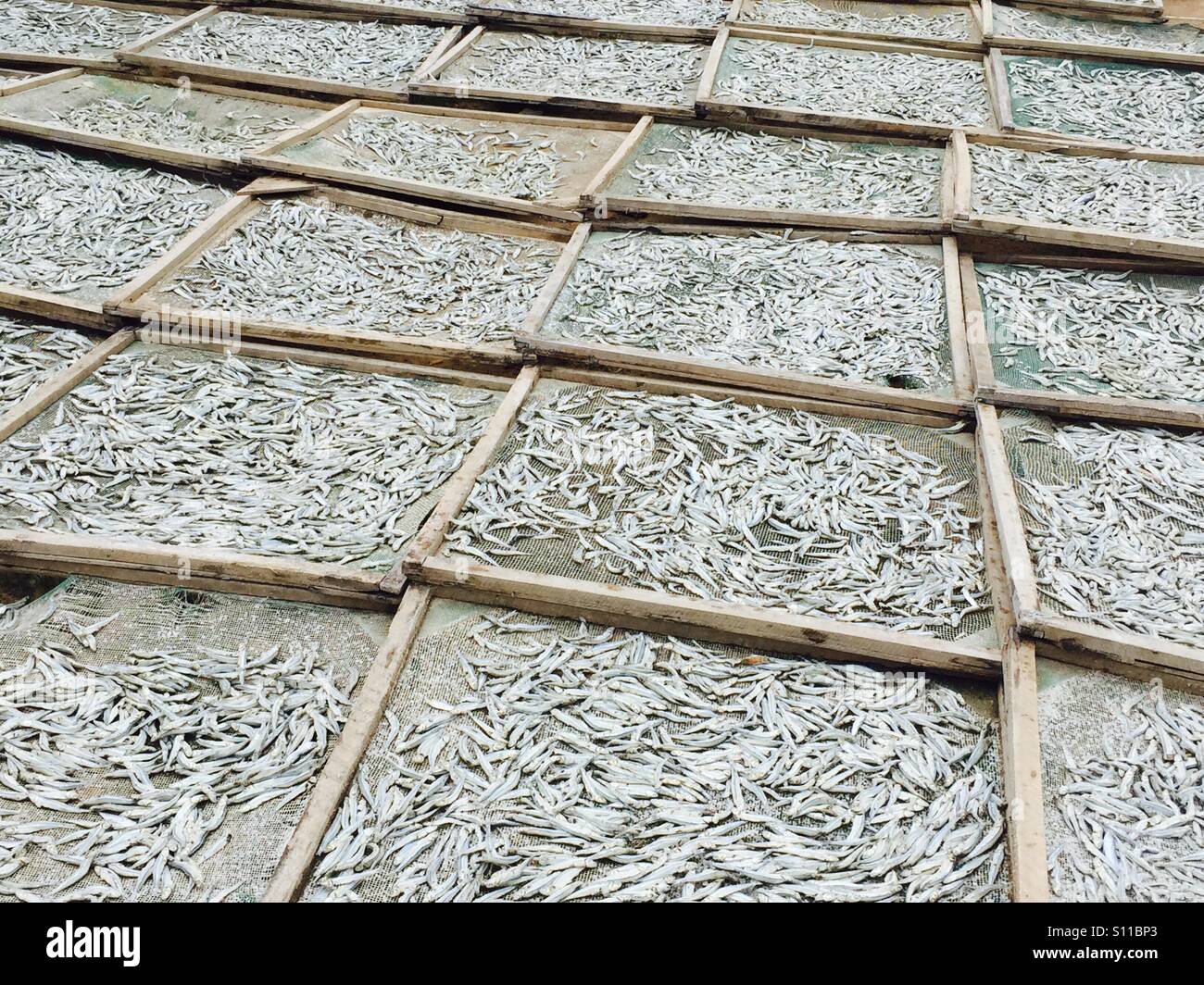 Fish drying in Vietnam Stock Photo