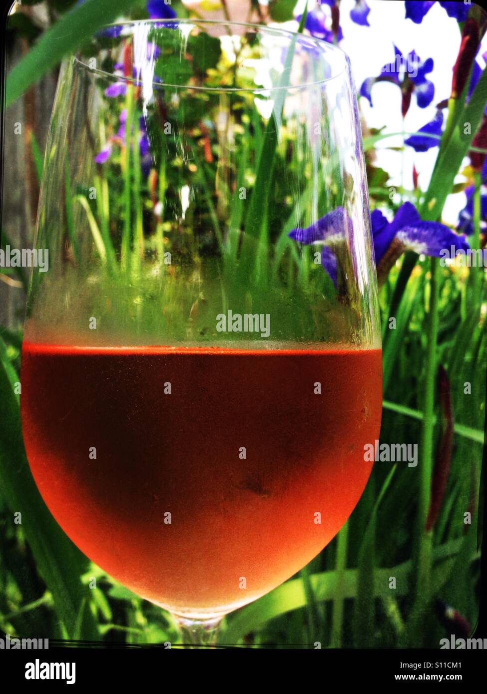 Glass of rose wine Stock Photo Alamy