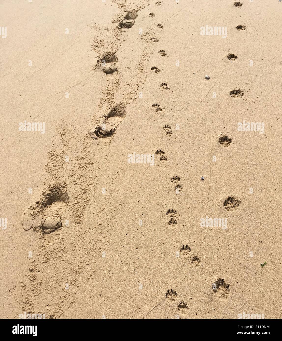 Footprints in the sand Stock Photo - Alamy