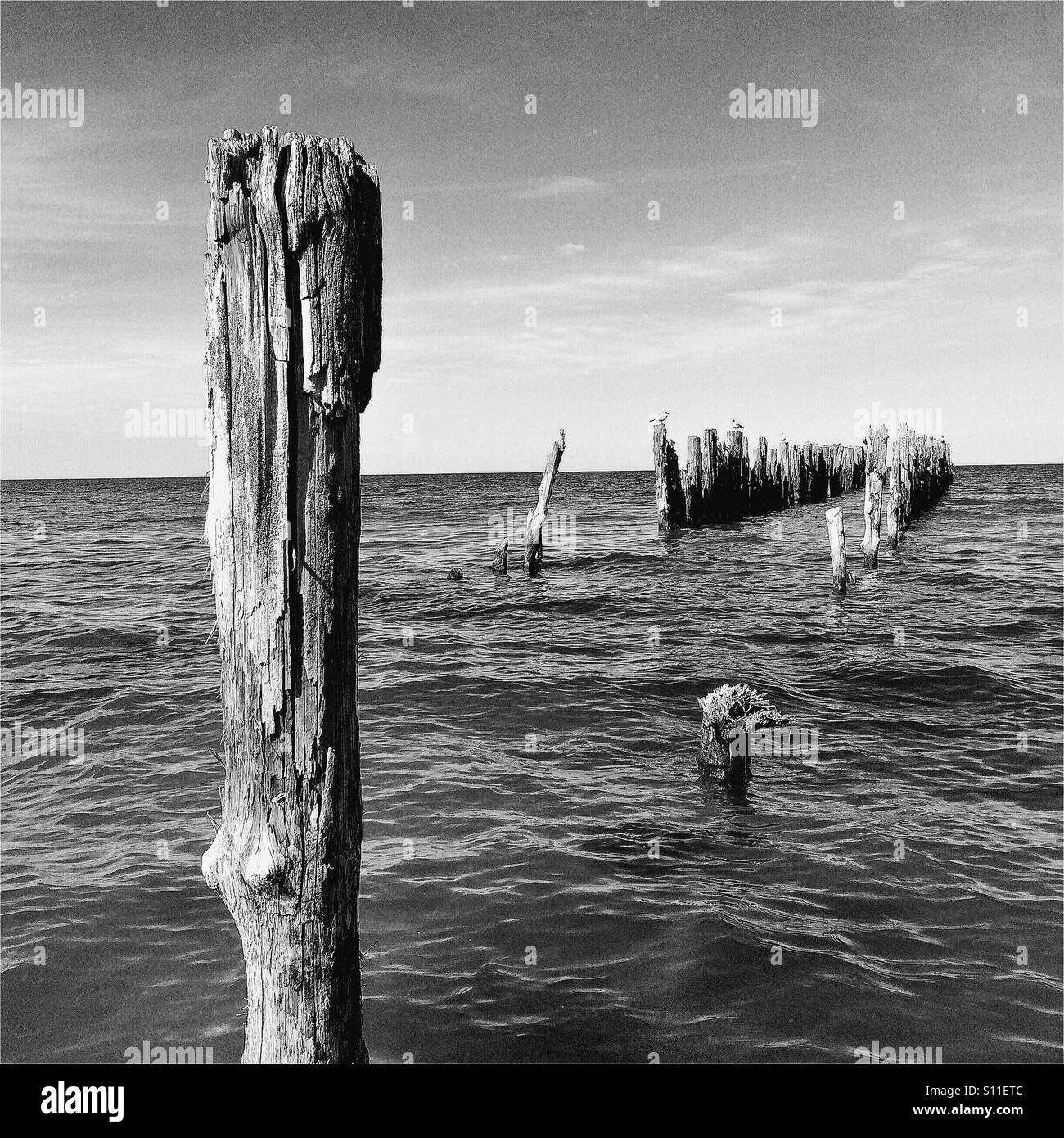 Old pier piles hires stock photography and images Alamy