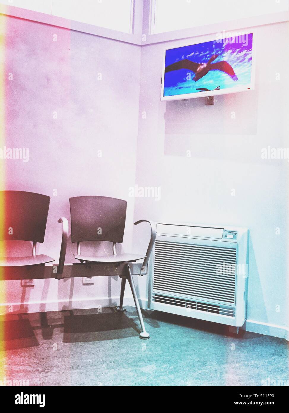 Empty waiting room with TV showing a flying goose - Smartphone Captured Stock Image