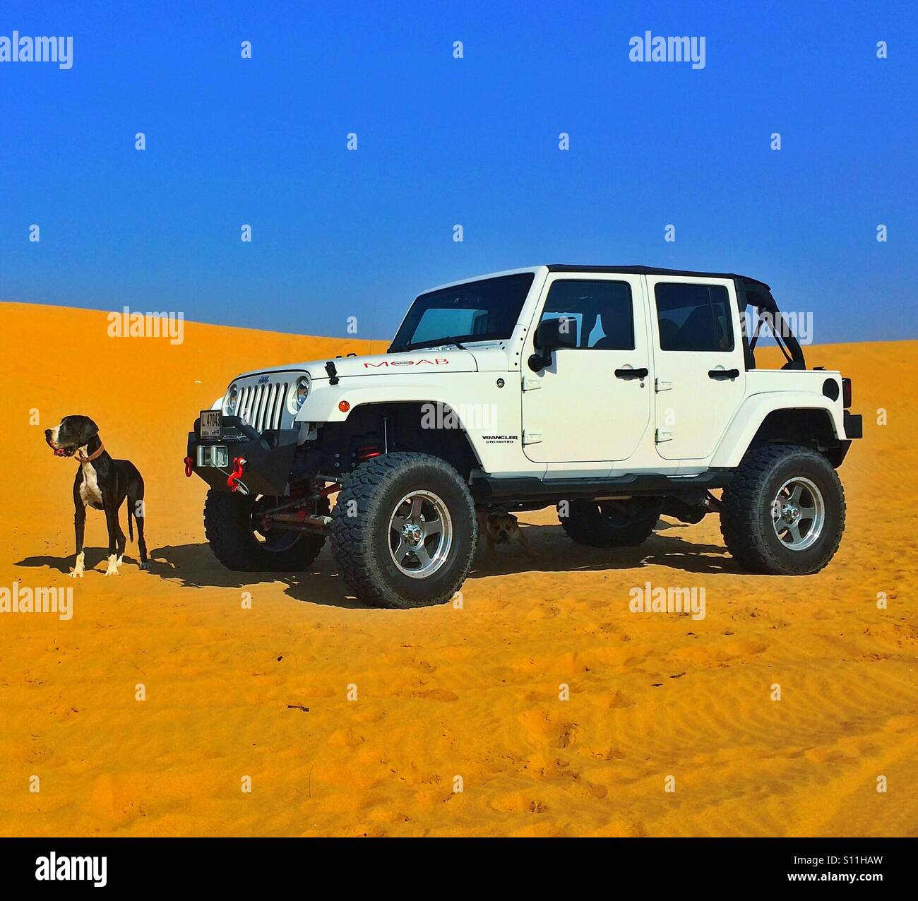 Jeep and Great Dane in the desert Stock Photo - Alamy