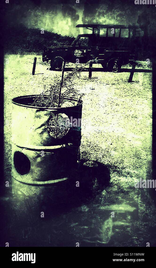 Tree protected by barrel, Hluhluwe-iMfolozi park game reserve, KwaZulu Natal province, South Africa - Smartphone Captured Stock Image