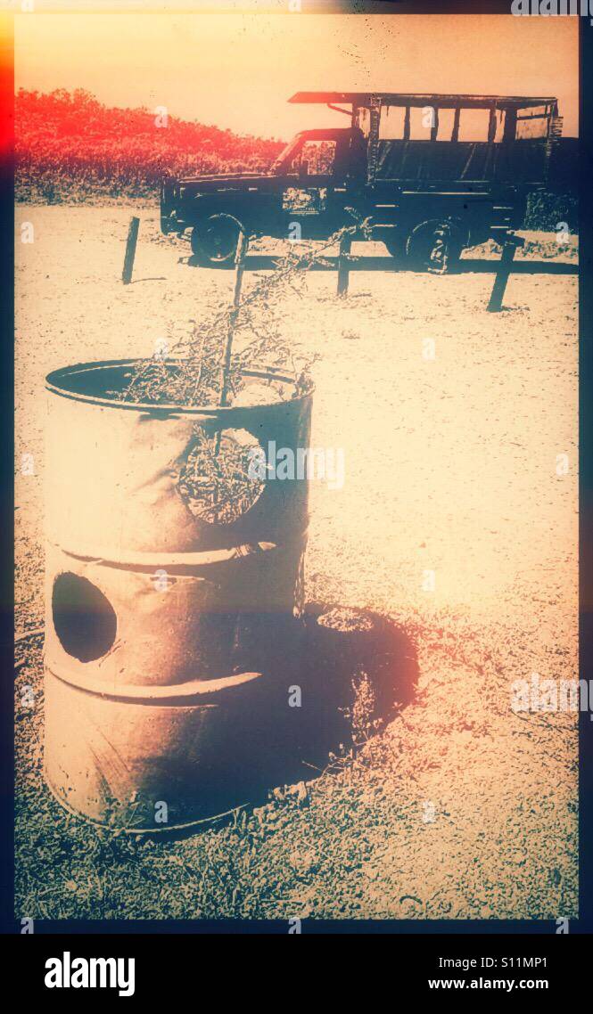 Tree protected by barrel, Hluhluwe-iMfolozi Park game reserve, KwaZulu Natal, South Africa - Smartphone Captured Stock Image