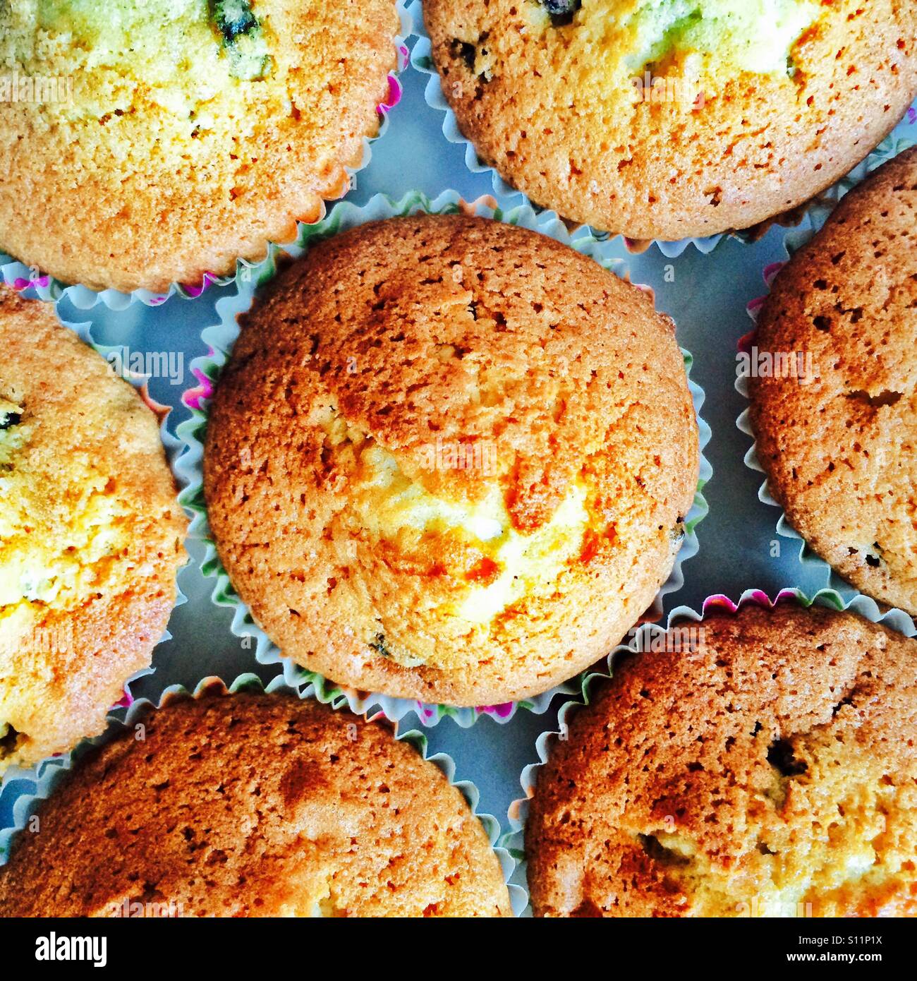 Freshly baked fairy cakes - Smartphone Captured Stock Image
