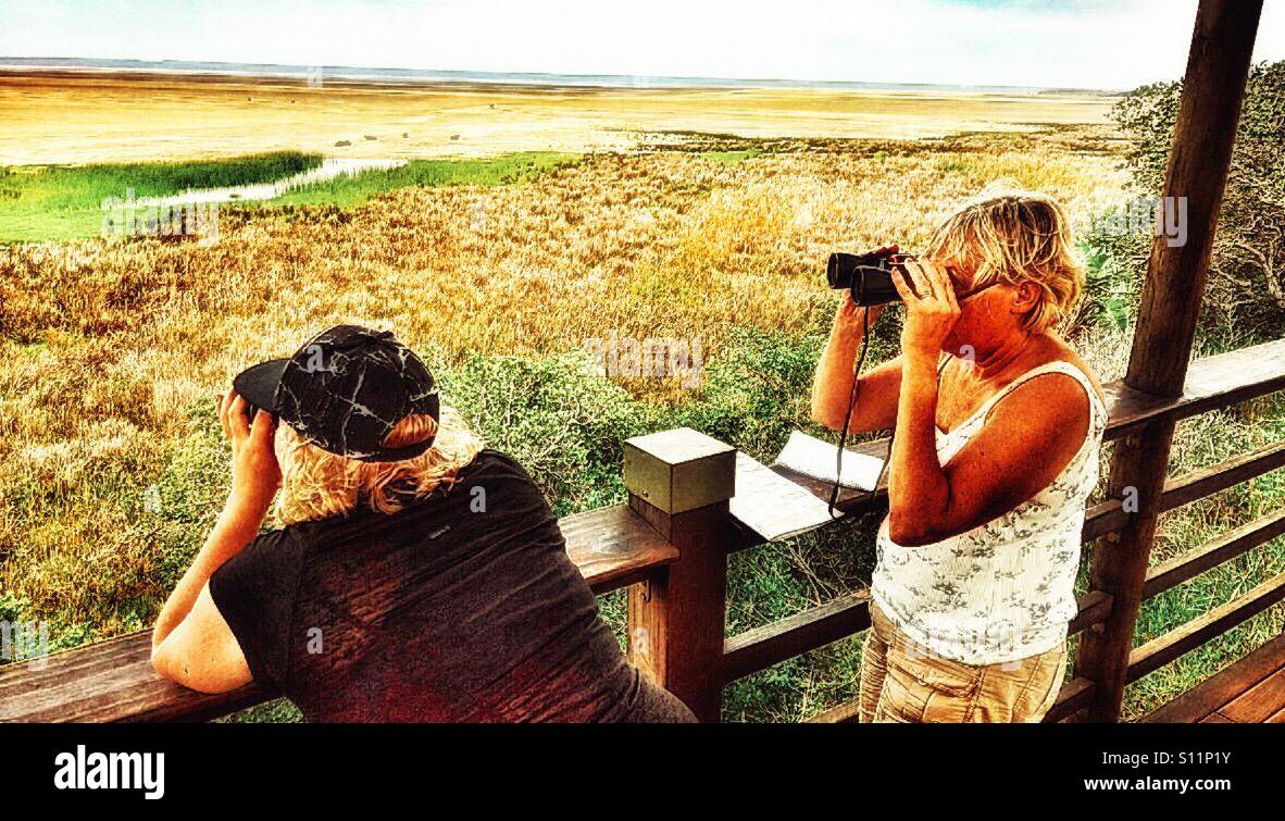 Tourists with binoculars, ISimangaliso Wetland Park, KwaZulu Natal, South Africa - Smartphone Captured Stock Image