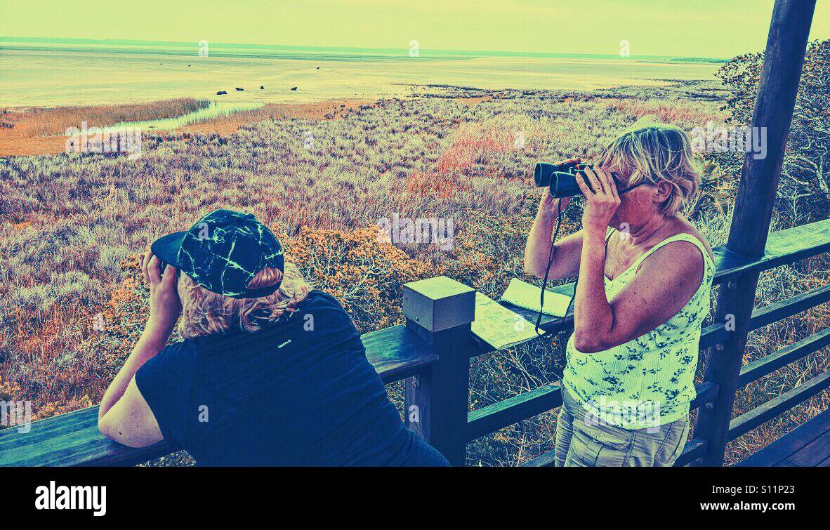 Tourists with binoculars, ISimangaliso Wetland Park, KwaZulu Natal province, South Africa - Smartphone Captured Stock Image