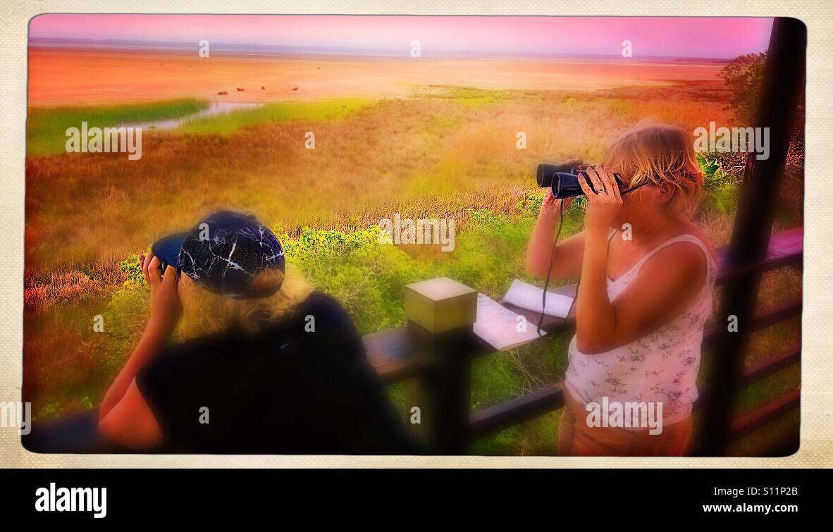 Tourists with binoculars, ISimangaliso Wetland Park, KwaZulu Natal, South Africa - Smartphone Captured Stock Image