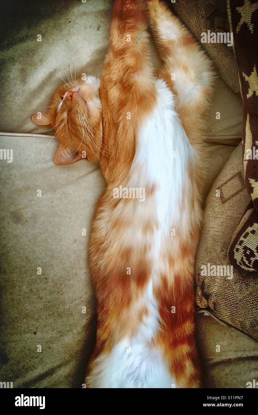 Sunday morning stretch - Smartphone Captured Stock Image