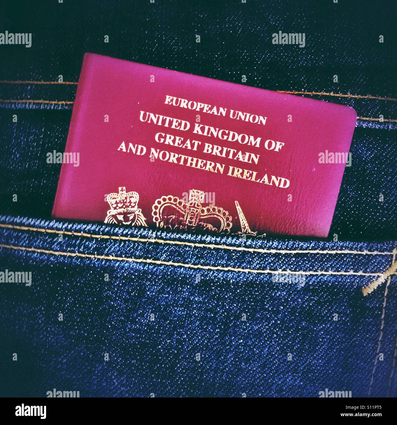 EU United Kingdom passport in a back pocket Stock Photo