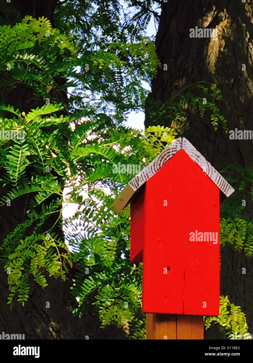 Red bird house Stock Photo Alamy