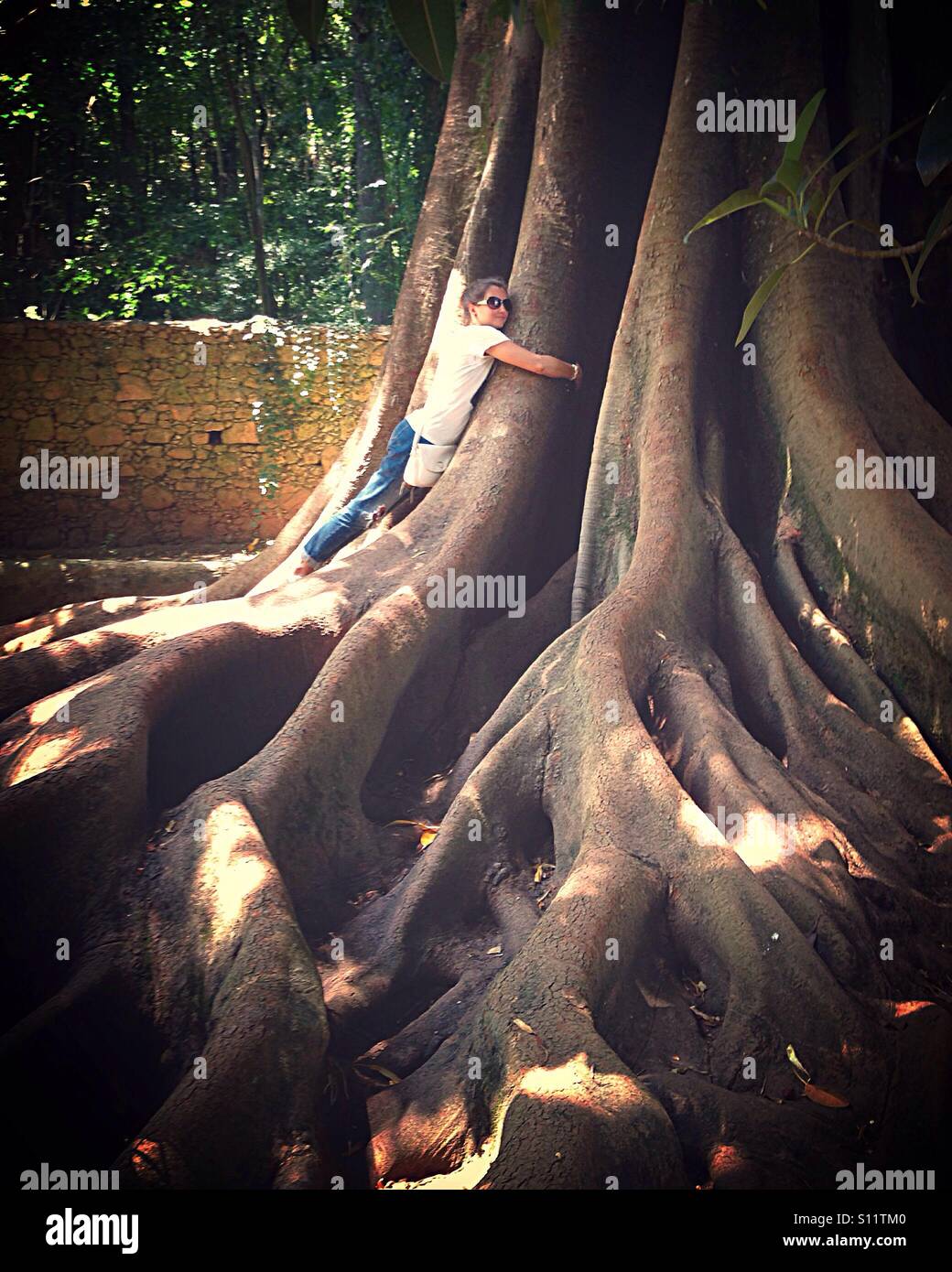 Big hug with a tree Stock Photo - Alamy