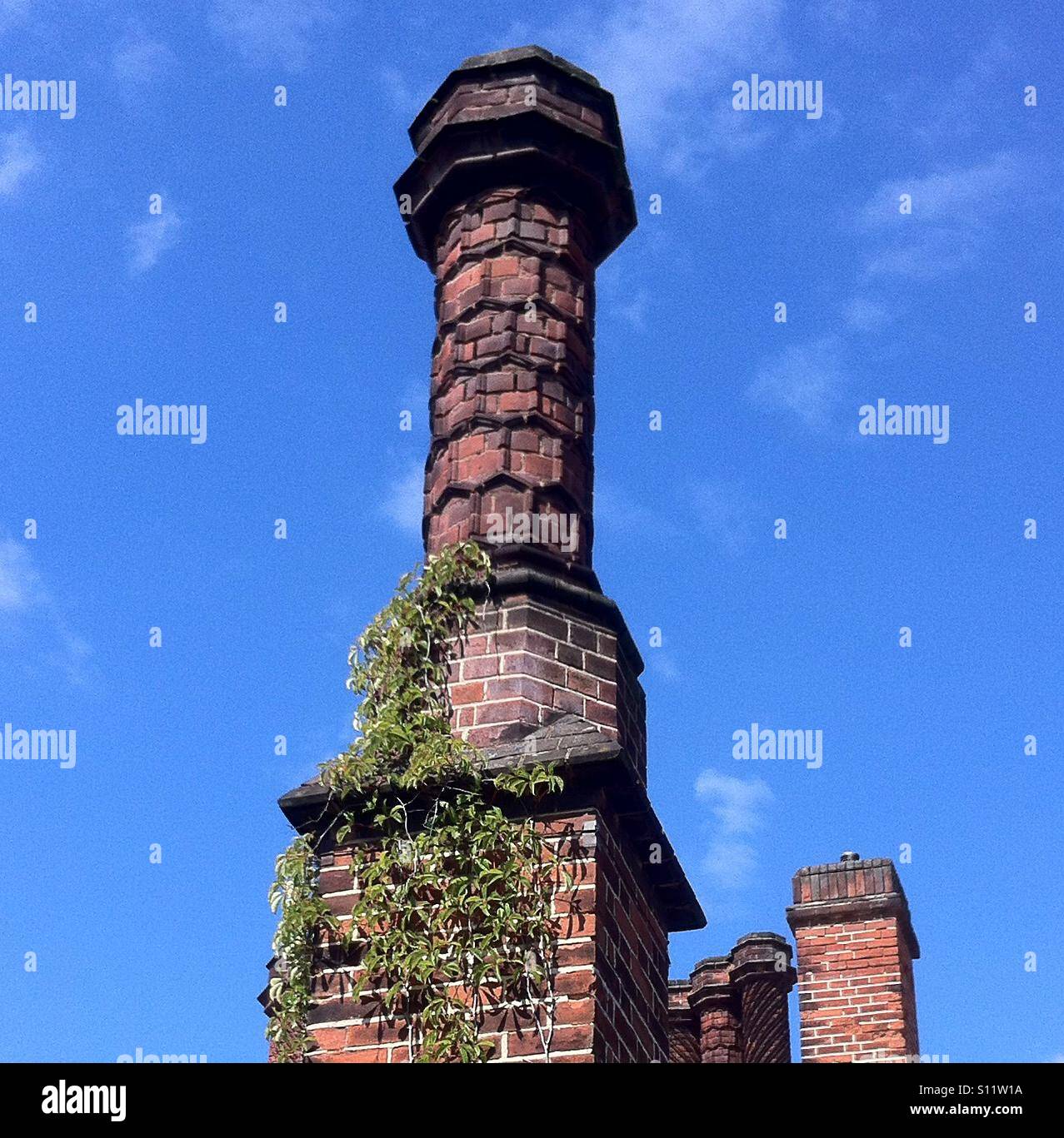 Historic English chimney stacks Stock Photo Alamy