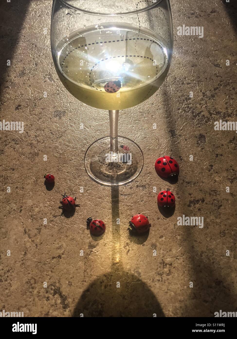 Chardonnay with Ladybugs - Smartphone Captured Stock Image