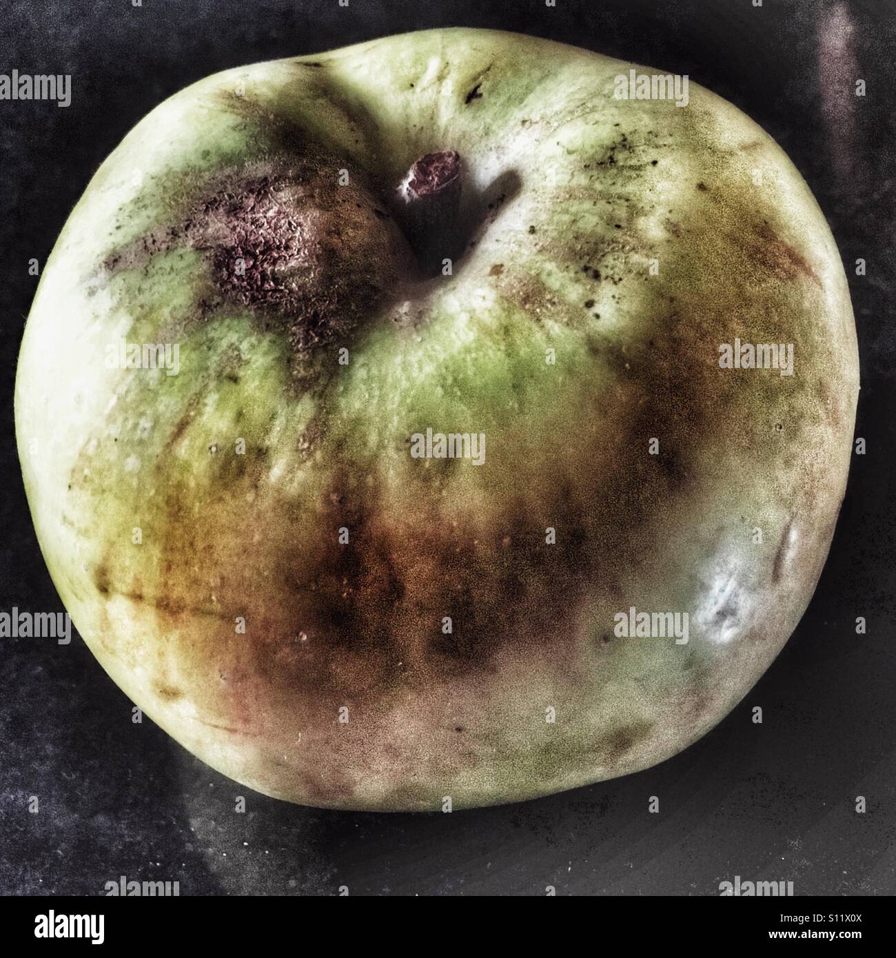 Rotting apple - Smartphone Captured Stock Image