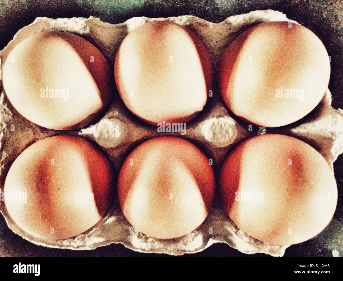 Six organic brown eggs in an egg box Stock Photo - Alamy
