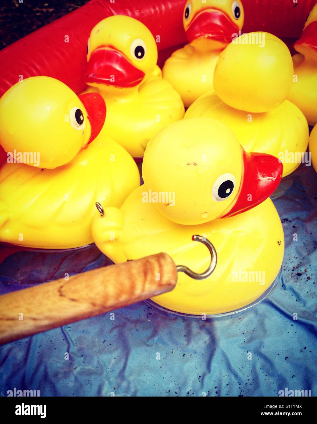 Several ducks in a hook a duck competition challenge. Stock Photo