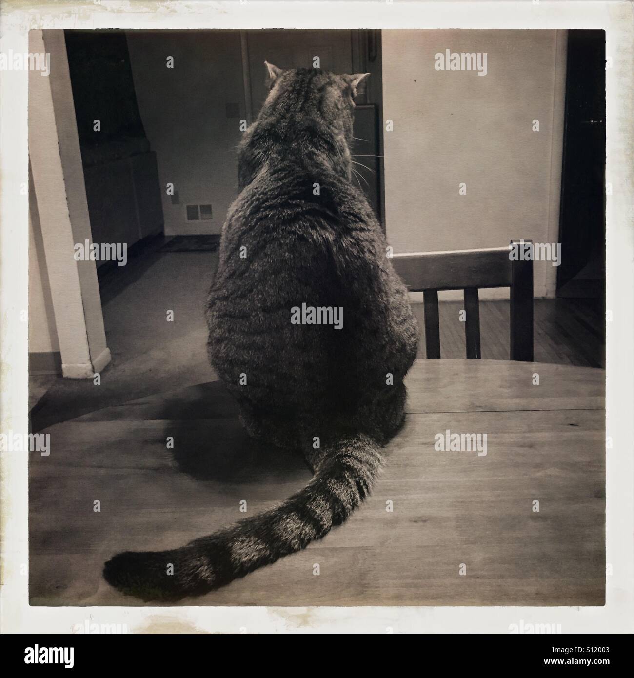 Ignoring me - Smartphone Captured Stock Image