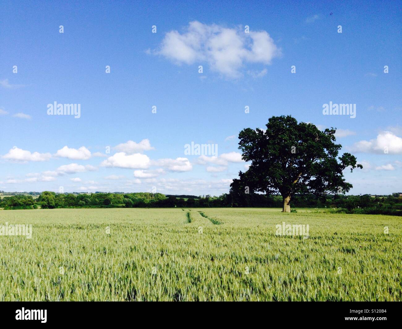 Kent countryside - uk Stock Photo