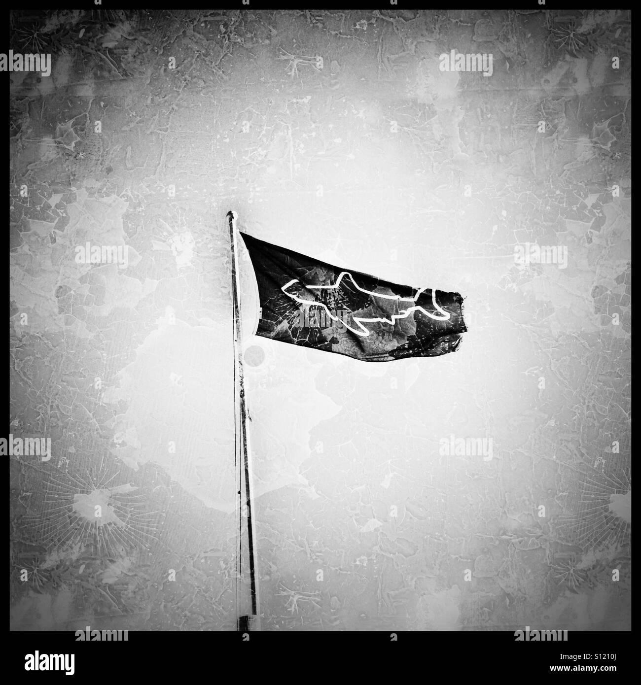 Shark warning flag Stock Photo - Alamy