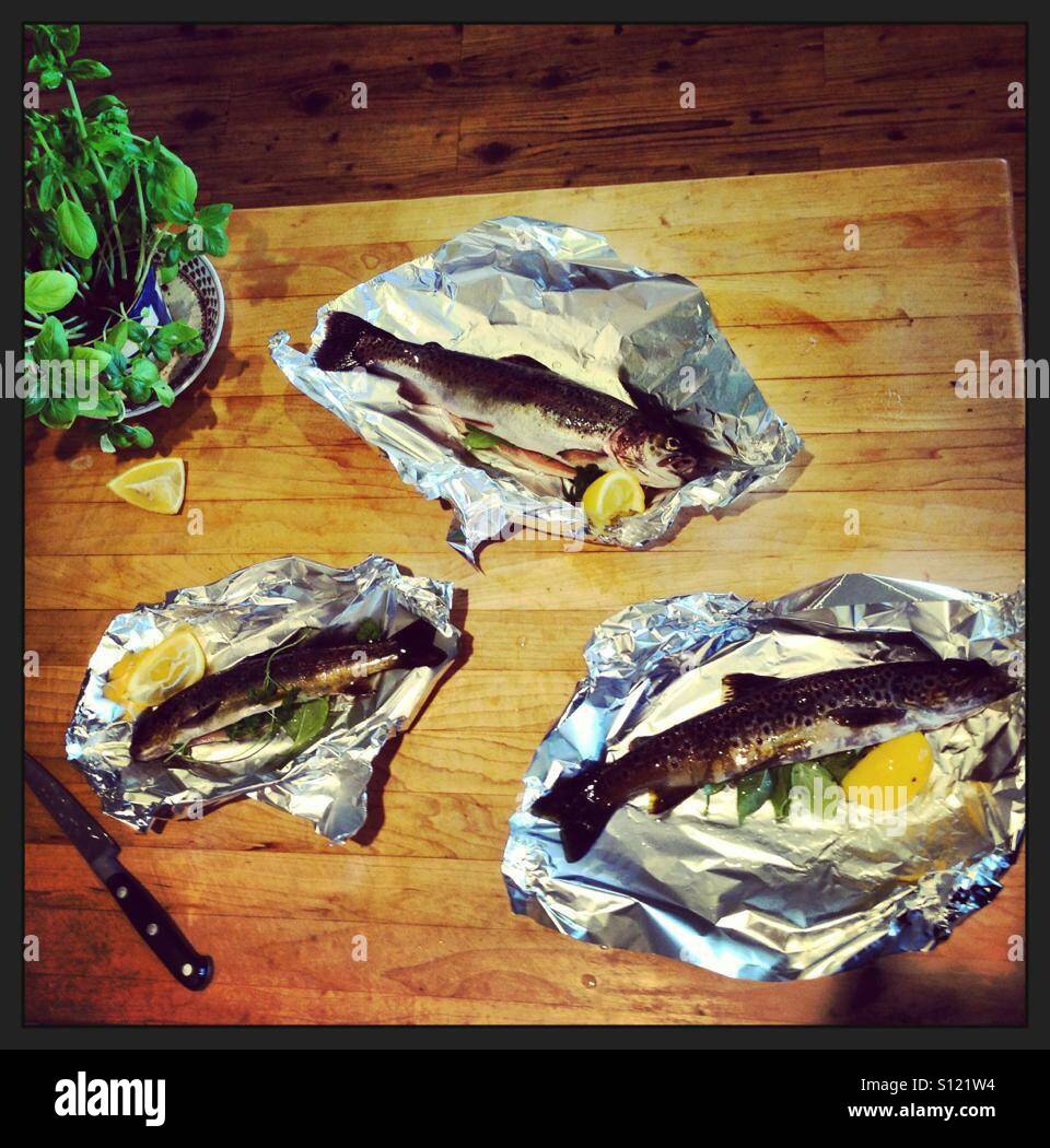 Fishy fishy fishy Stock Photo - Alamy