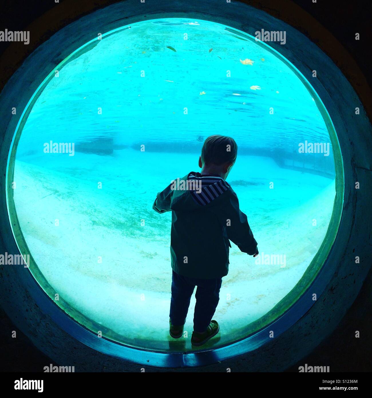 Young boy stands silhouetted in the viewing window under the water in the penguin enclosure at London zoo Stock Photo
