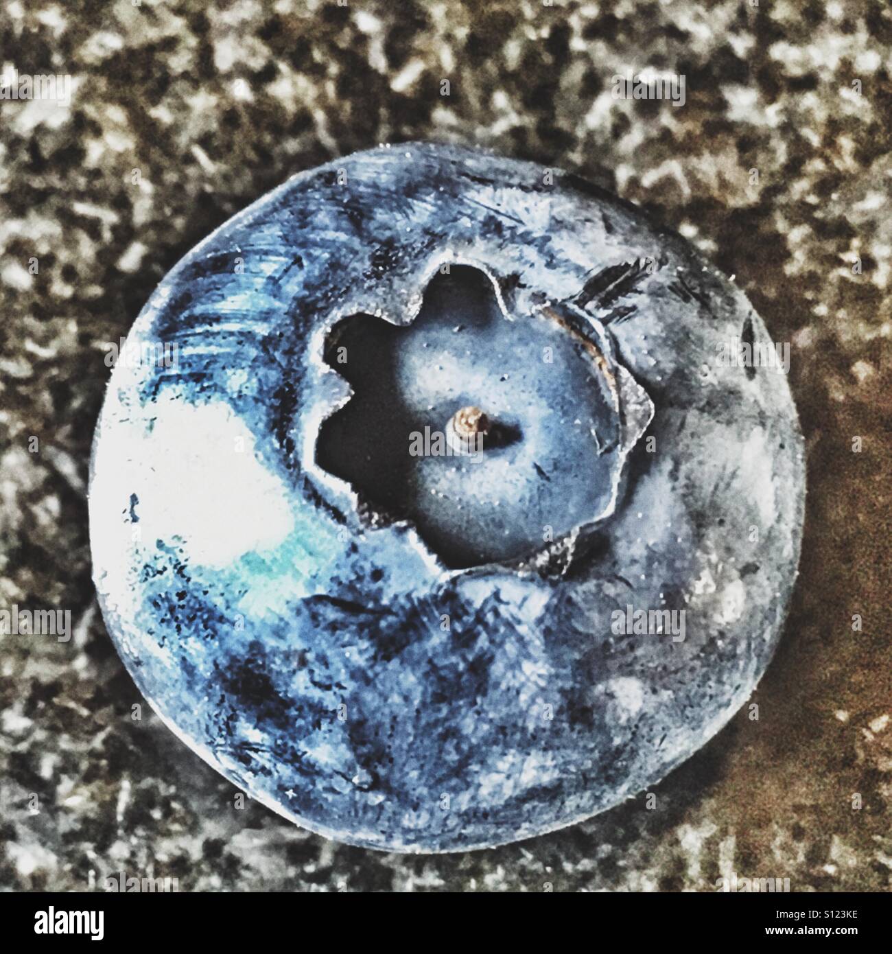 Blueberry - Smartphone Captured Stock Image