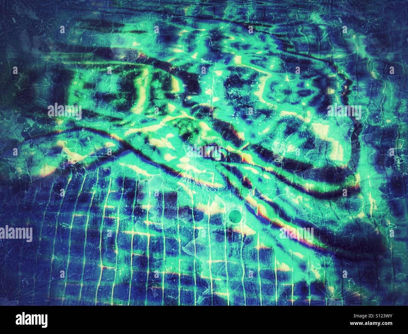 Dolphin mosaic in a swimming pool - Smartphone Captured Stock Image