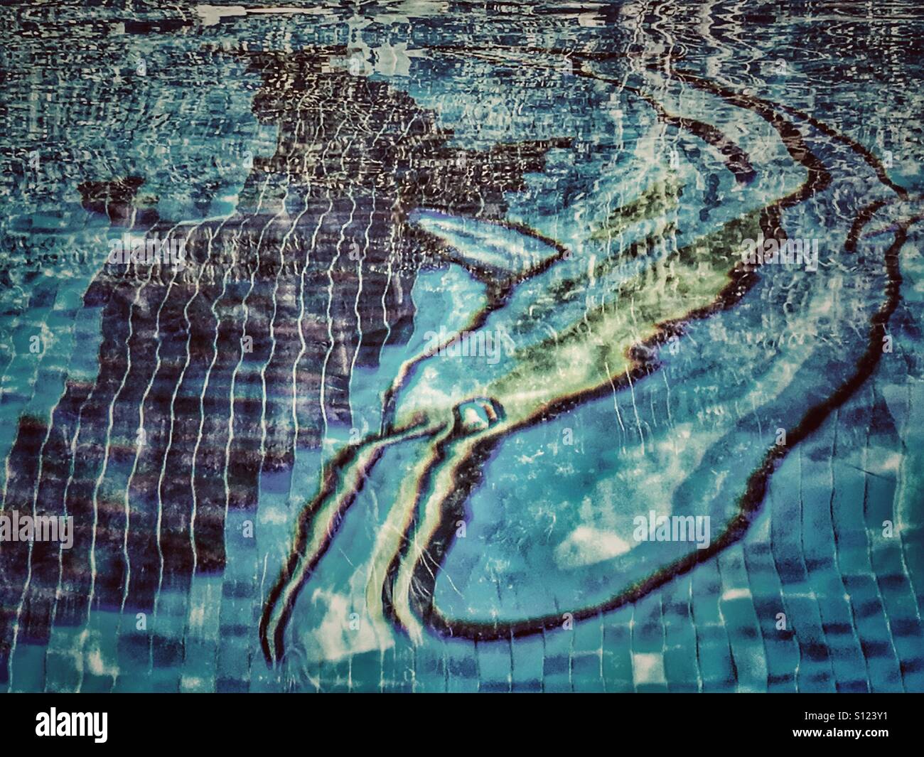 Dolphin mosaic in a swimming pool - Smartphone Captured Stock Image